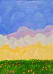 Wildflowers at Sunset
