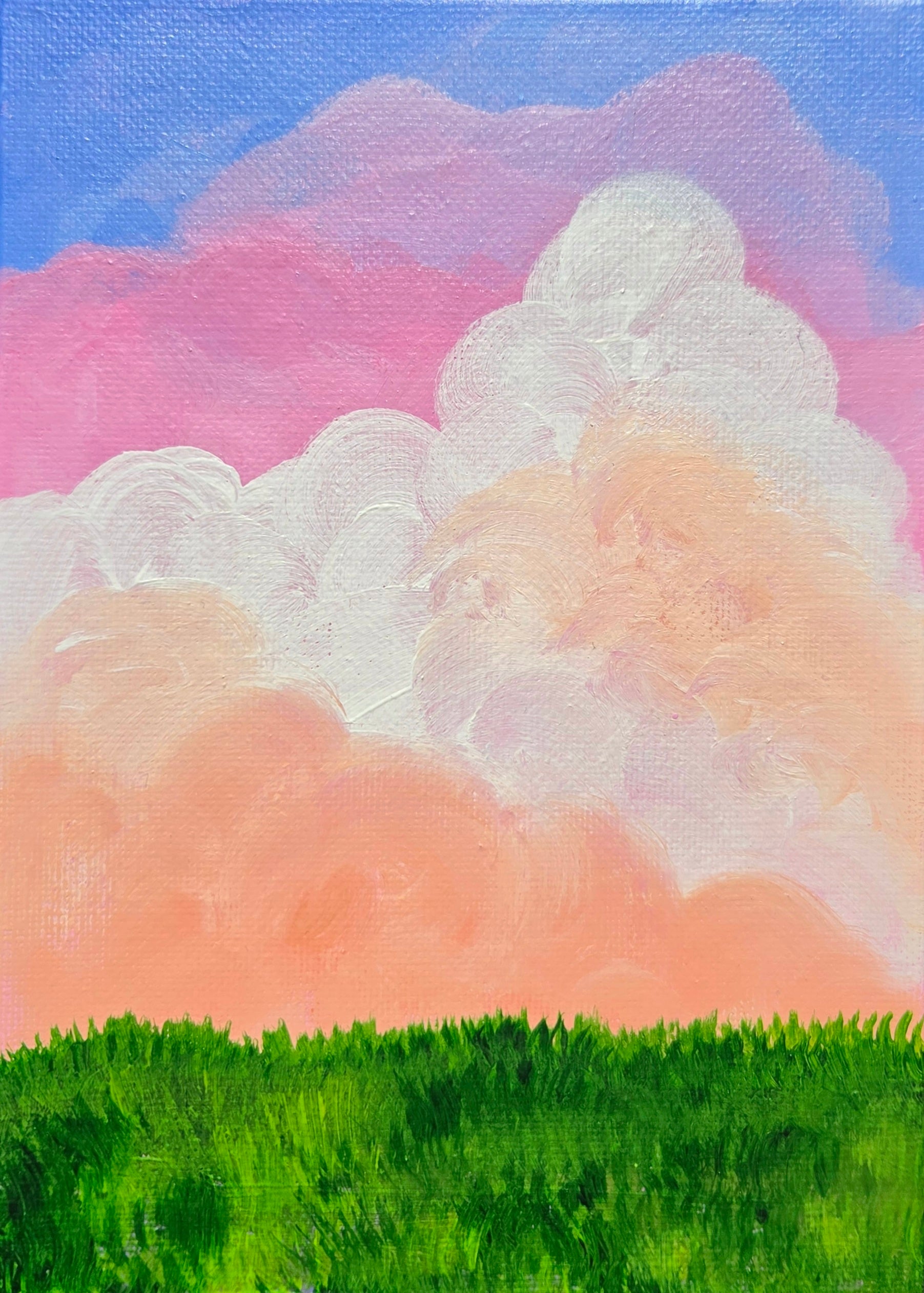 Sunset Field